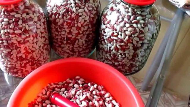 Как хранить фасоль дома после сбора урожая: способы
