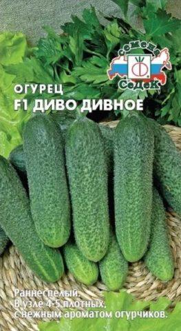 Топ-10 производителей семян: лидеры рынка, которые зарекомендовали себя у огородников