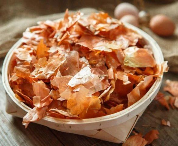 5 натуральных подкормок рассады: на заметку огородникам