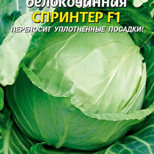 Сорта ранней капусты, которые отличаются неприхотливостью